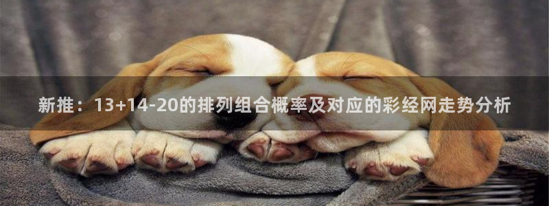 BG大游体育网页版入口：新推：13+14-20的排列组合概率及对应的彩经网走势分析